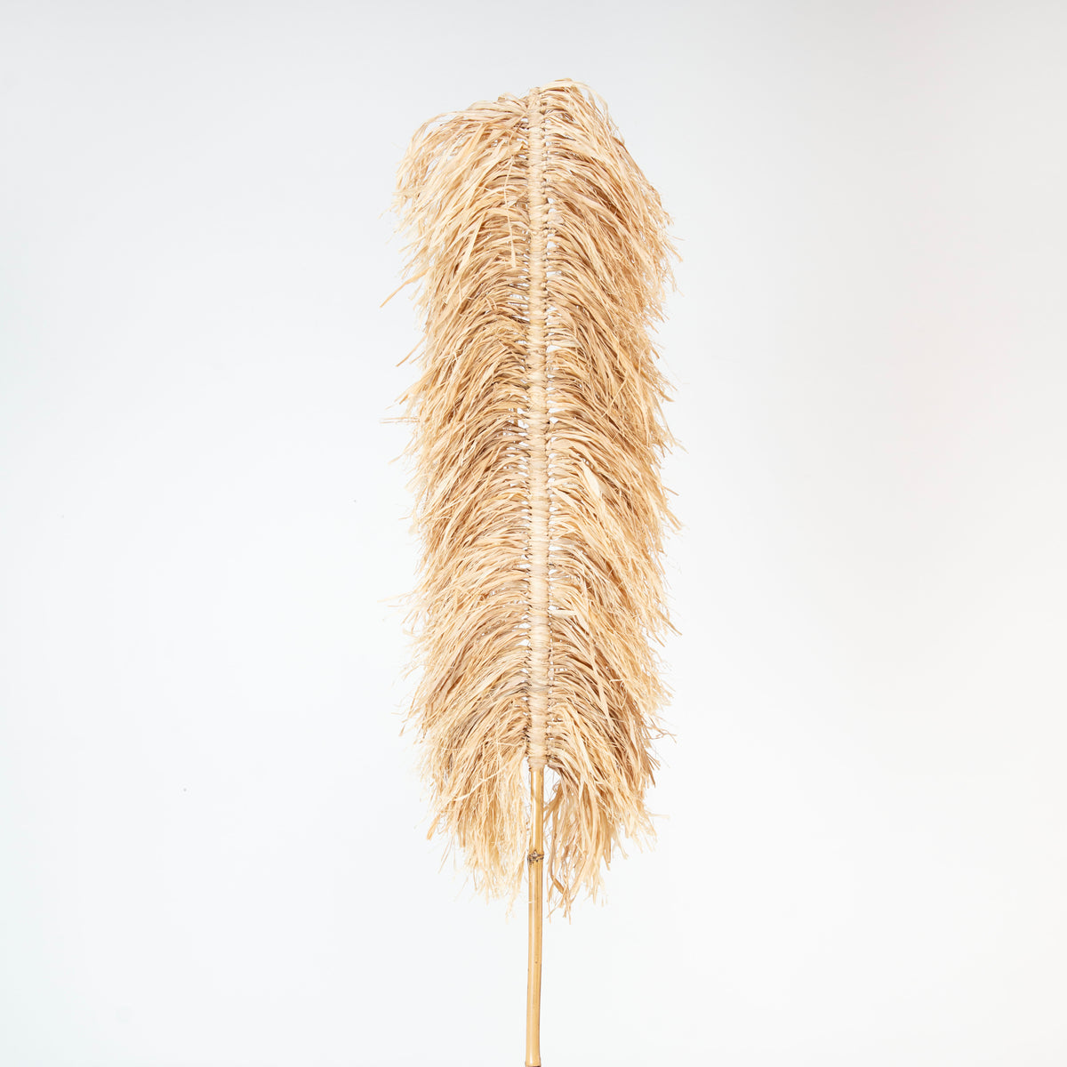 Hita Concept Pampas 3x40x200 cm