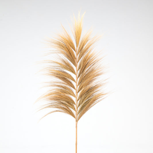 Hita Concept Pampas 3x50x200 cm