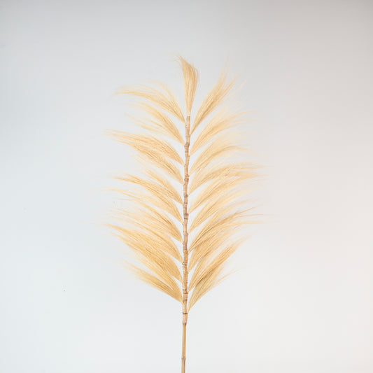 Hita Concept Pampas 3x60x200 cm