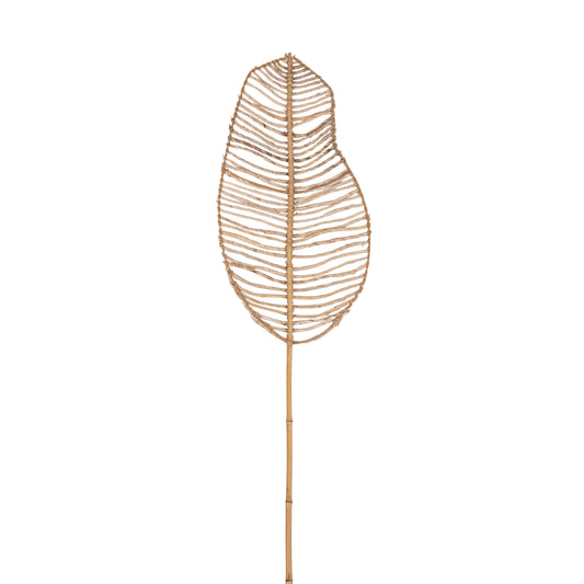 Hita Concept Pampas 3x35x200 cm